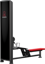 Atlantis Precision Low Row